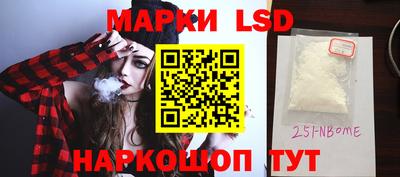 прущие грибы Нальчик