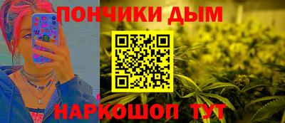 прущие грибы Нальчик