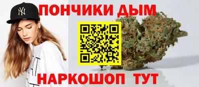 прущие грибы Нальчик