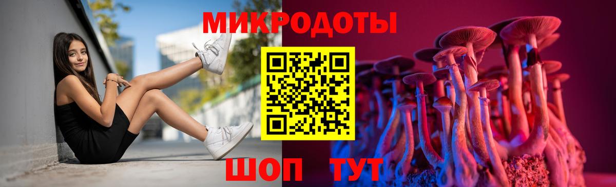 Галлюциногенные грибы Psilocybe Элиста
